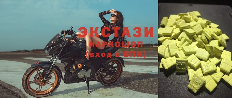 Ecstasy Philipp Plein Петровск-Забайкальский