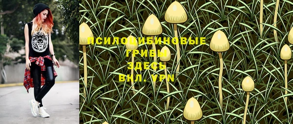 метадон Осинники